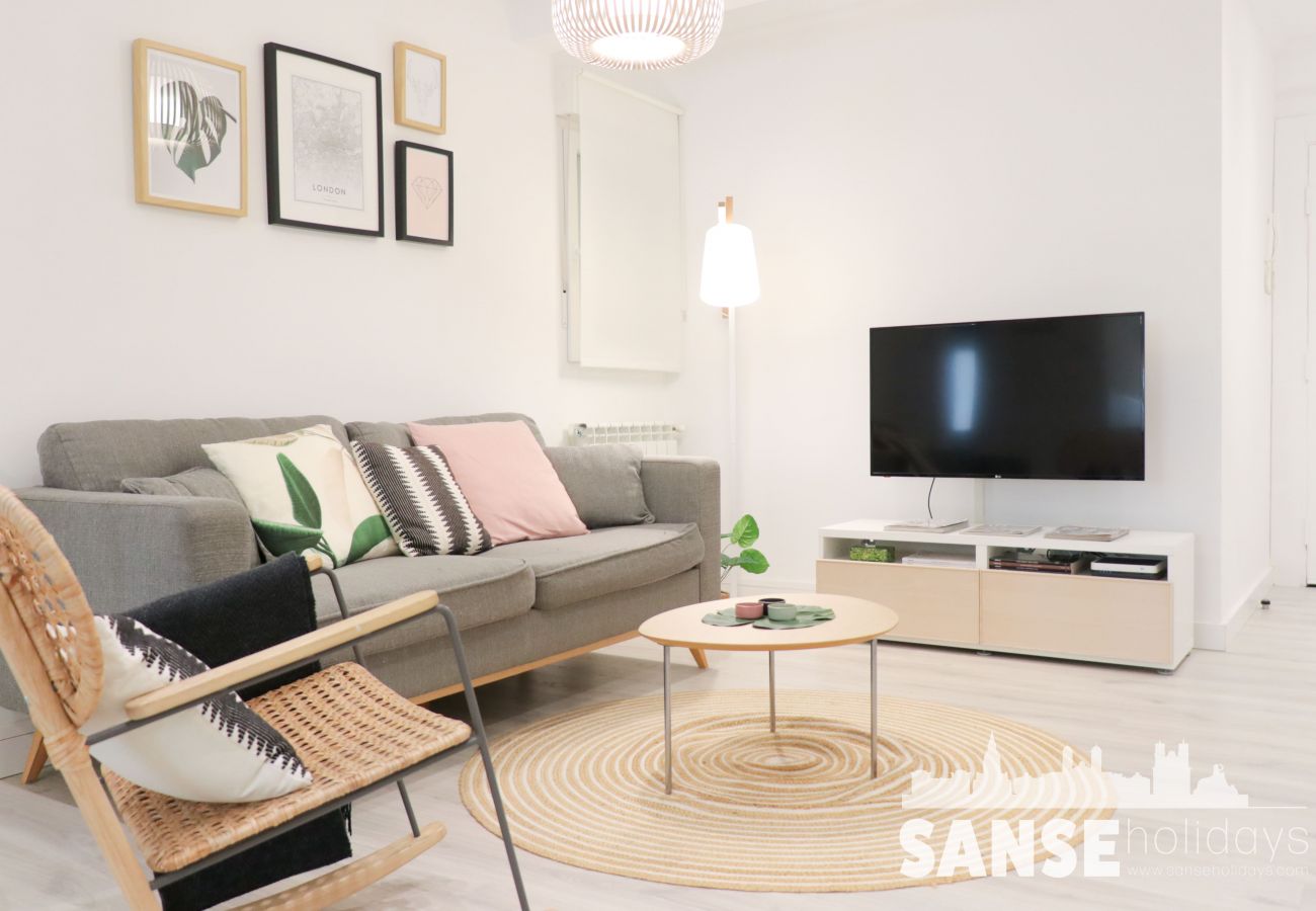 Apartamento en San Sebastián - Apartamento Mendilar by SanSe Holidays
