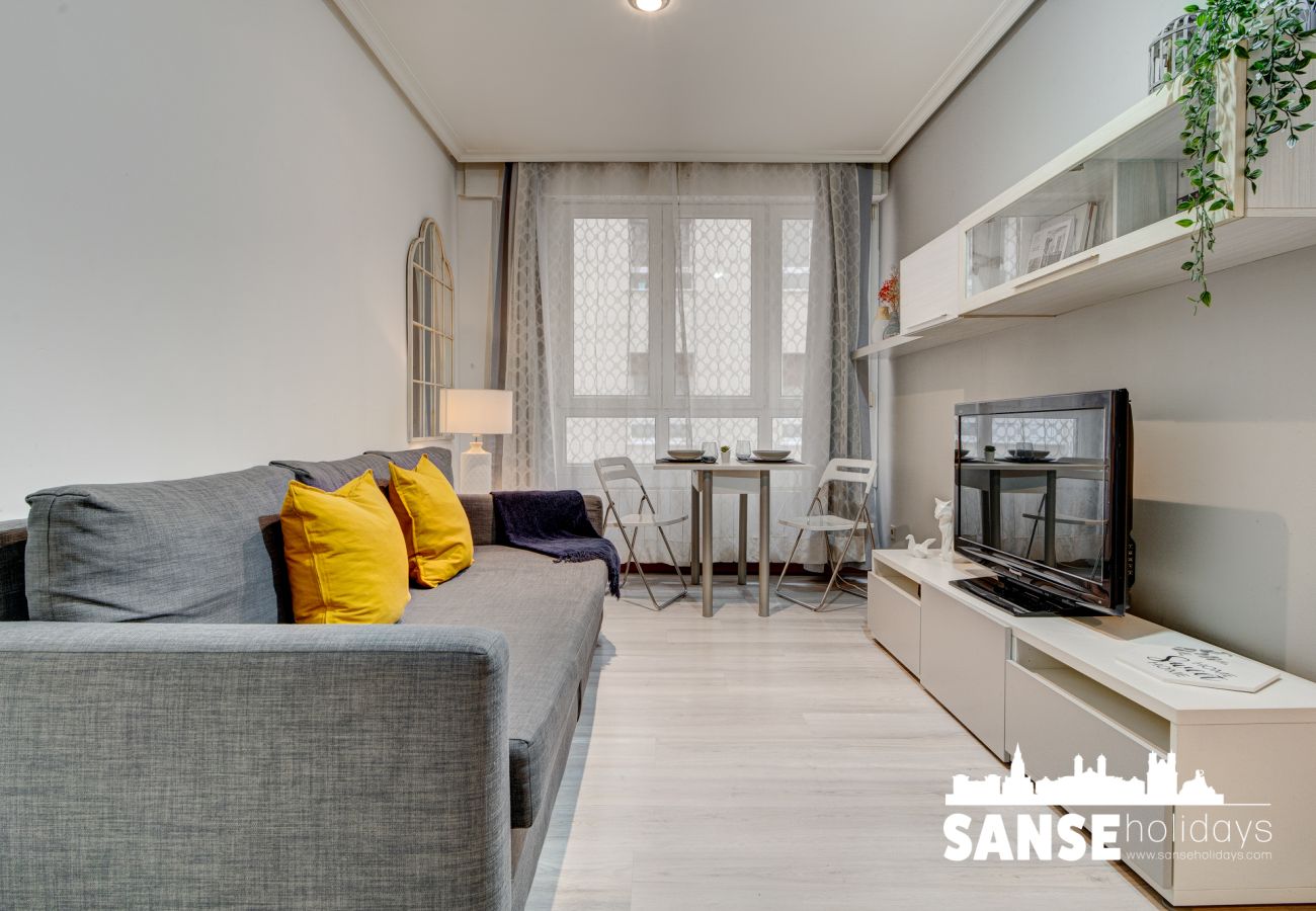 Apartamento en San Sebastián - Apartamento Karri by SanSe Holidays