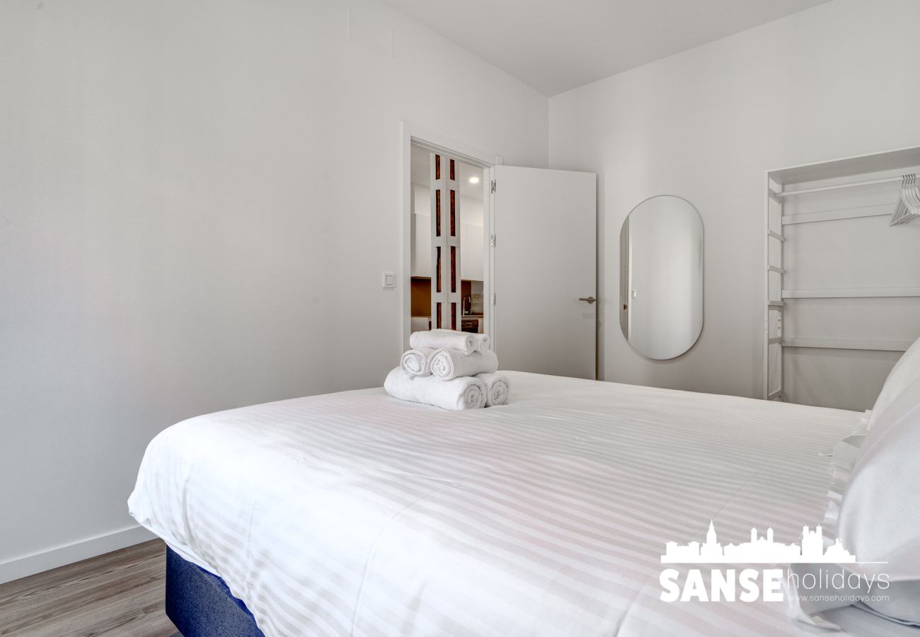 Apartamento en San Sebastián - Salud Ernio by SanSe Holidays