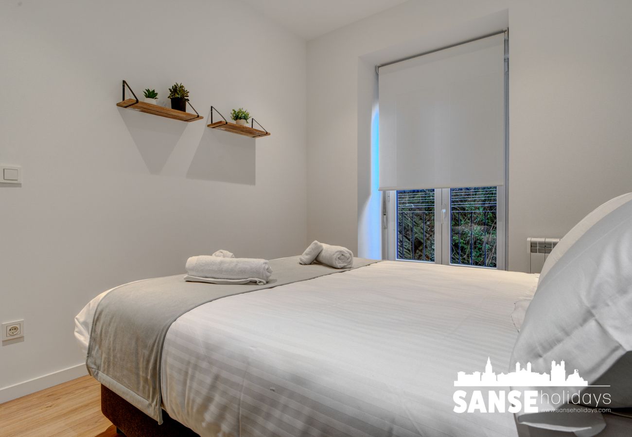 Apartamento en San Sebastián - Salud Txindoki By SanSe Holidays