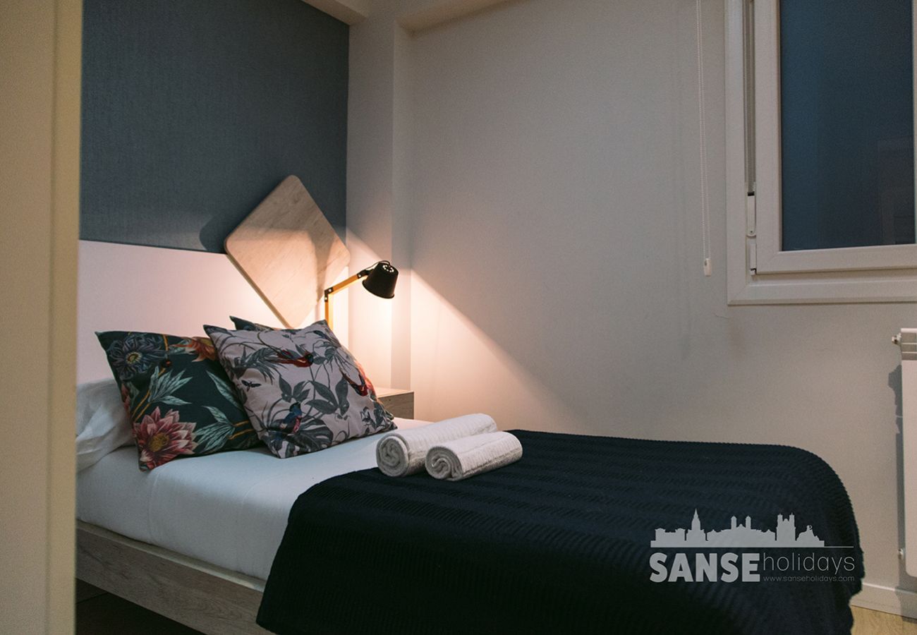 Apartment in San Sebastián - Apartamento Anoeta by Sanse Holidays