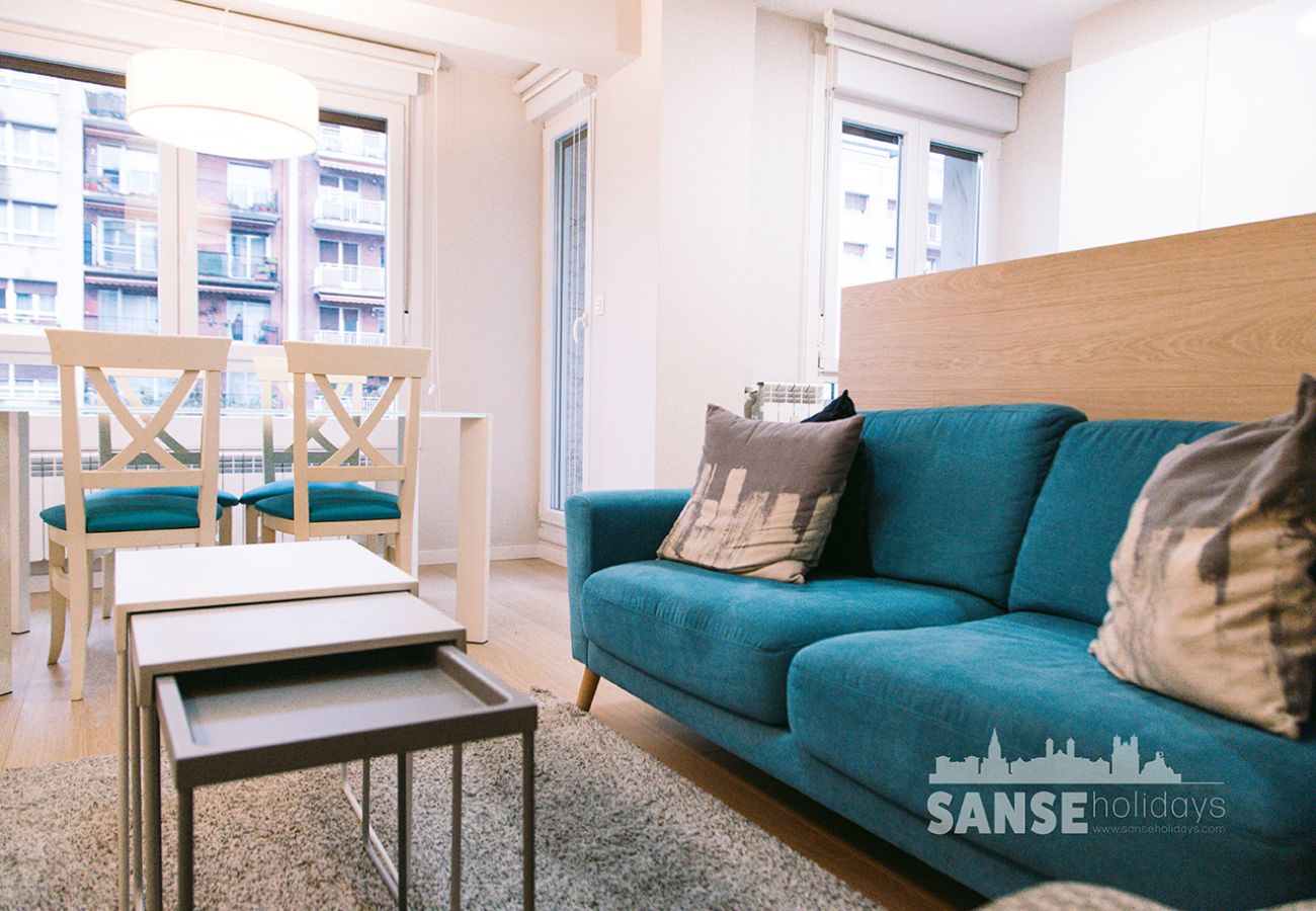 Apartment in San Sebastián - Apartamento Anoeta by Sanse Holidays