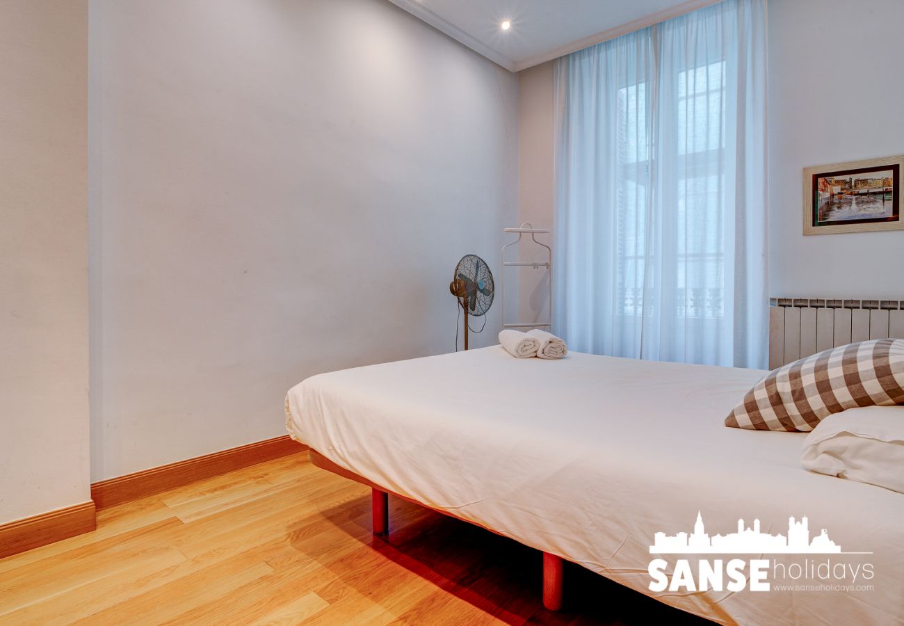 Apartment in San Sebastián - Apartamento Pavía by SanSe Holidays
