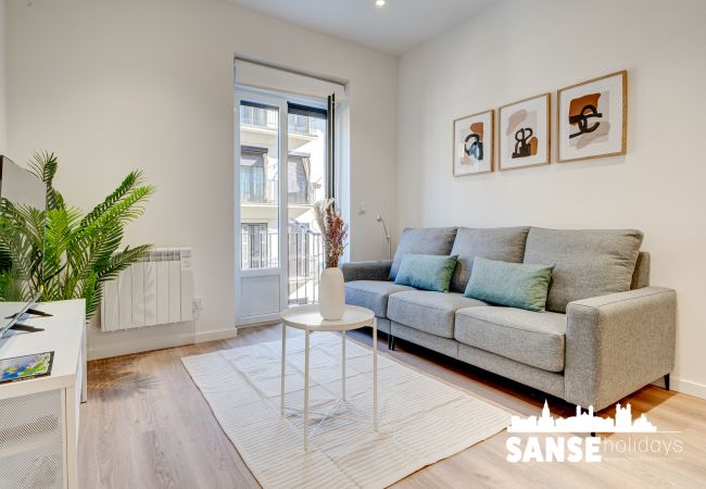 San Sebastián - Apartment