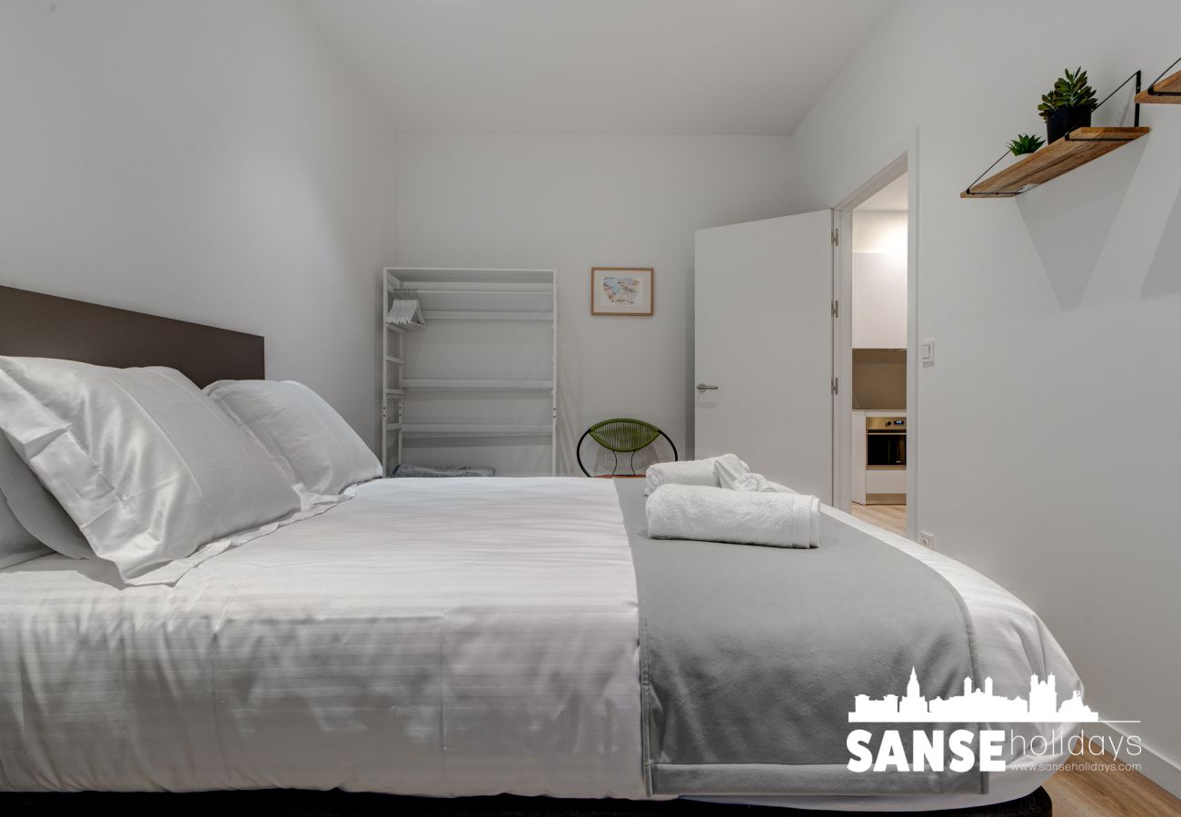 Apartment in San Sebastián - Salud Txindoki By SanSe Holidays