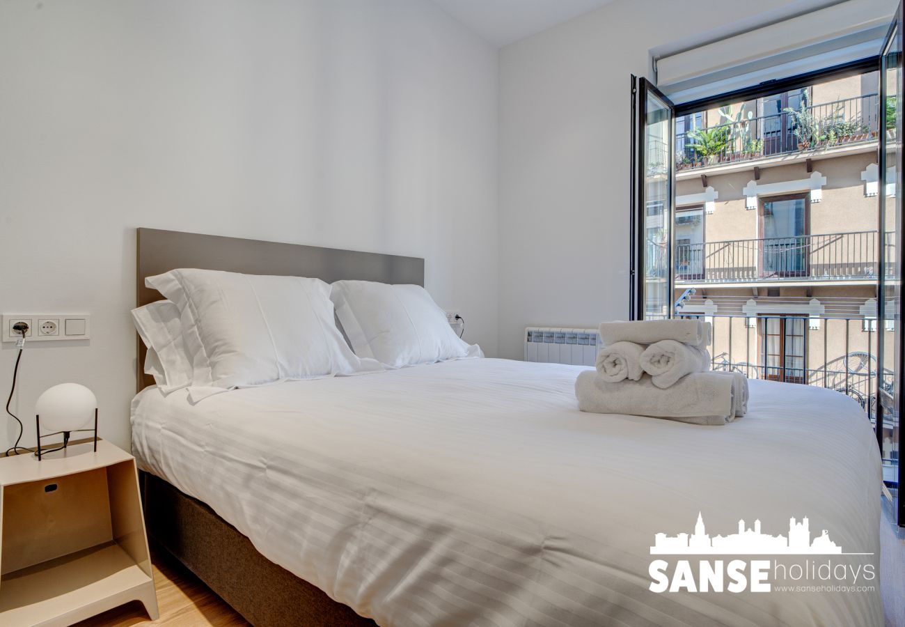 Appartement à San Sebastián - Salud Ernio by SanSe Holidays